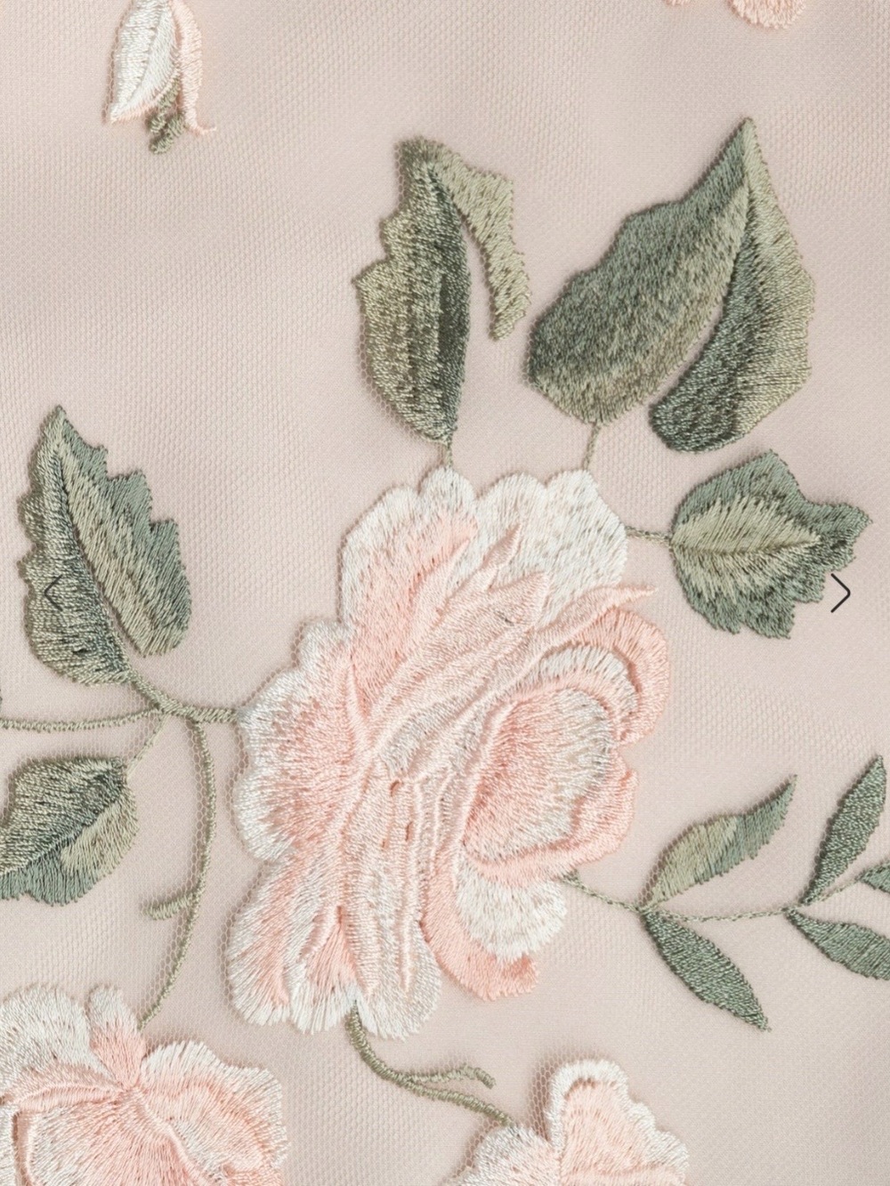 Jenny Yoo Drew Enchanted Floral Embroidery in Soft Blush - Picture 3 of 3